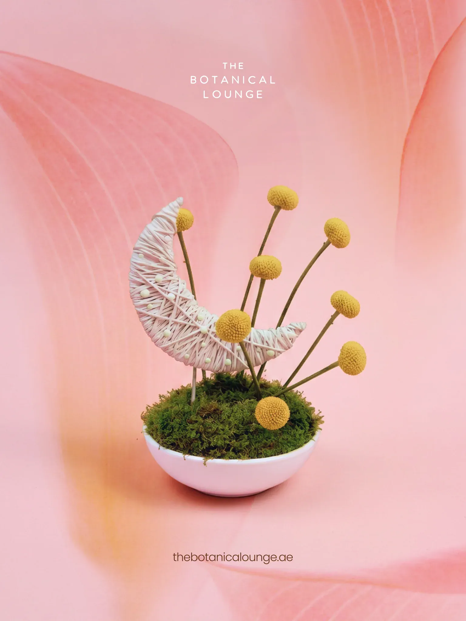 Artwork 29